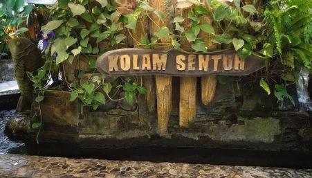 74 Koleksi Gambar Hewan Di Gembira Loka Zoo Gratis